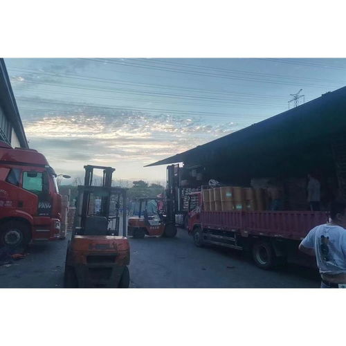 清遠到荷蘭國際貨代專線 高效連接中國制造與歐洲市場的貨運橋梁